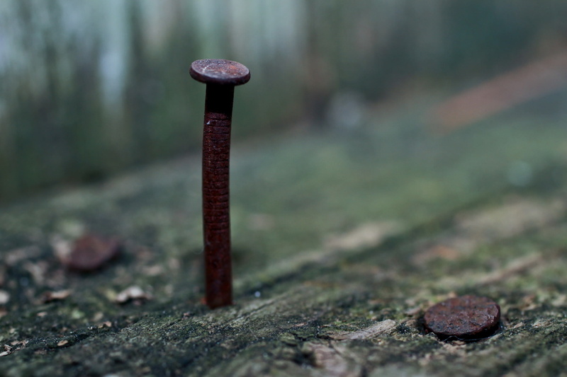 1080P, metal, rust, macro, wood, nails, old