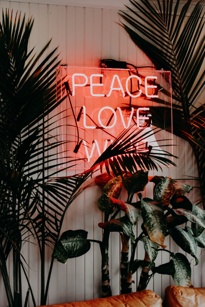 architecture, 5K, signage, non-western script, wall - building feature, plants, built structure, lighting equipment, red, western script, nature, art and craft