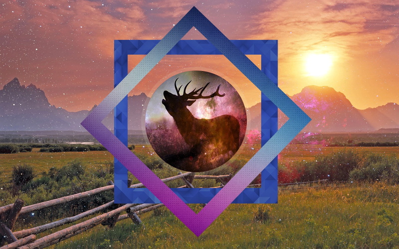 1080P, nature, deer, peaceful