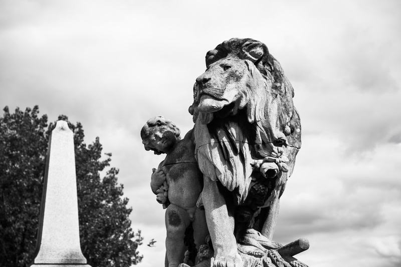 stone material, representation, the past, lion, low angle view, human representation, angel, 5K, cemetery, no people, alexandre iii, paris, creativity