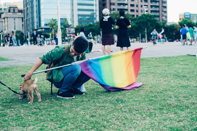 domestic, plant, taiwan, one animal, leisure activity, human, 5K, puppy, animal, pride flag, multi colored, gender equality, strap, built structure, grass