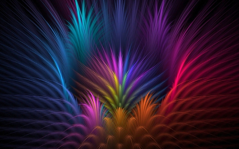 abstract, 1080P, feathers, colorful