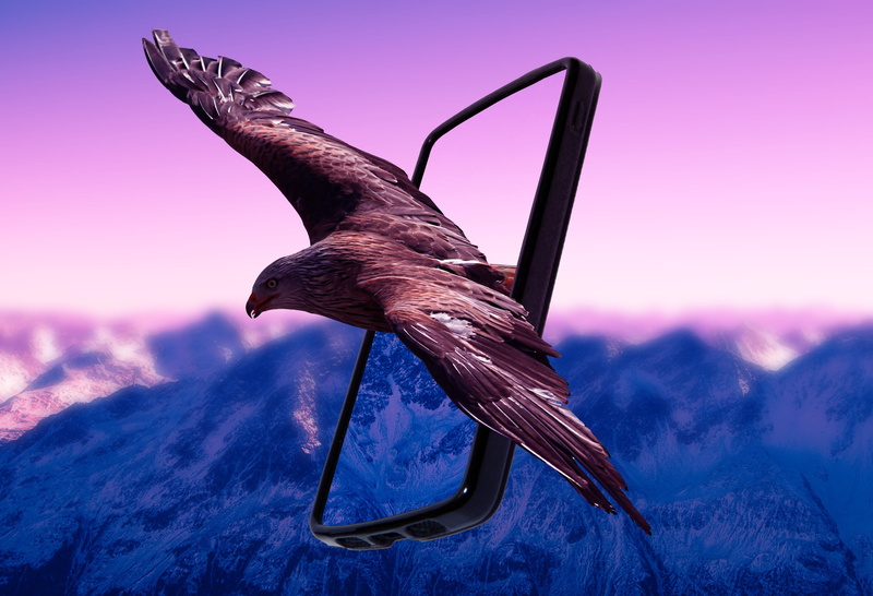 view, environment, sunset, nature, animals in the wild, wildlife, beak, fly, beauty in nature, animal, scenics - nature, bird, heaven, dom, wing, purple