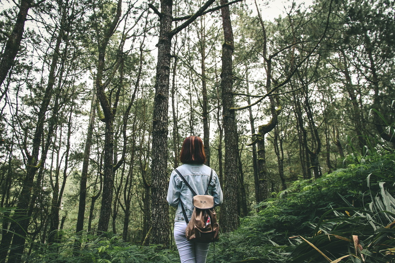rear view, activity, land, person, tall, brown, leisure activity, real people, forest, casual clothing, surrounded, explore, lifestyles, adult, wearing