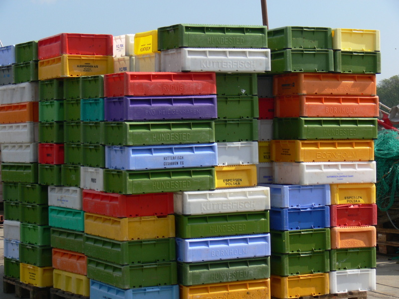 transport crates, close-up, abundance, nature, container, 2K, fish, side by side, arrangement, boxes, stacking boxes, business, indoors, large group of objects