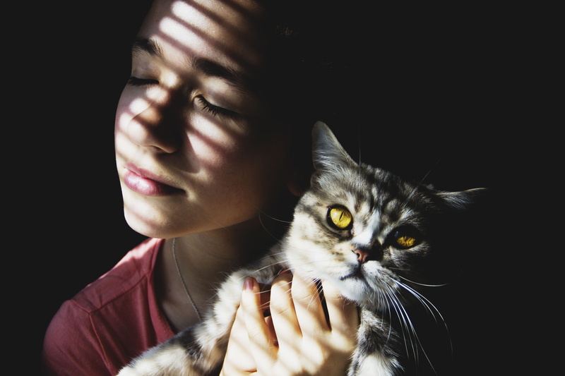 pretty, front view, pets, looking, domestic, people, one Person, hair, girl, pet owner, female, cat, kitten, looking at camera, dark background, caucasian Ethnicity