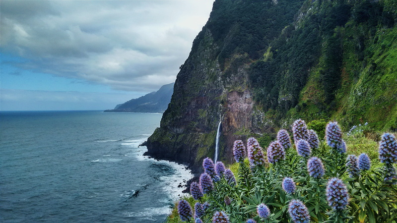non-urban scene, mountain, beauty In Nature, flower, mountain peak, Hydrangeas, flowers, daytime, rock, summer, sea, rock - Object, sky, color Image, water