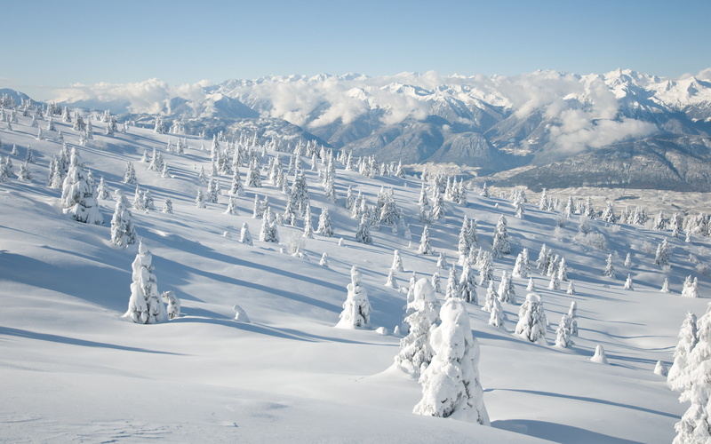 te, mountain, snowcapped mountain, photography, no people, wither, snow, ski track, cold temperature, mountain range, mountains, nikond90, mountroen, non-urban scene