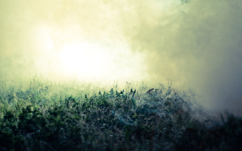 photography, green, nikon, 2K, grass, nikond90, fog, mist