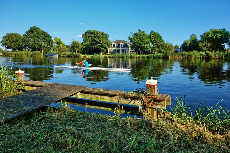 summer, lake, sport, nature, tree, blue, water, recreation, architecture, reflection, grass, tranquility, amstel, day, netherlands, plant, green color
