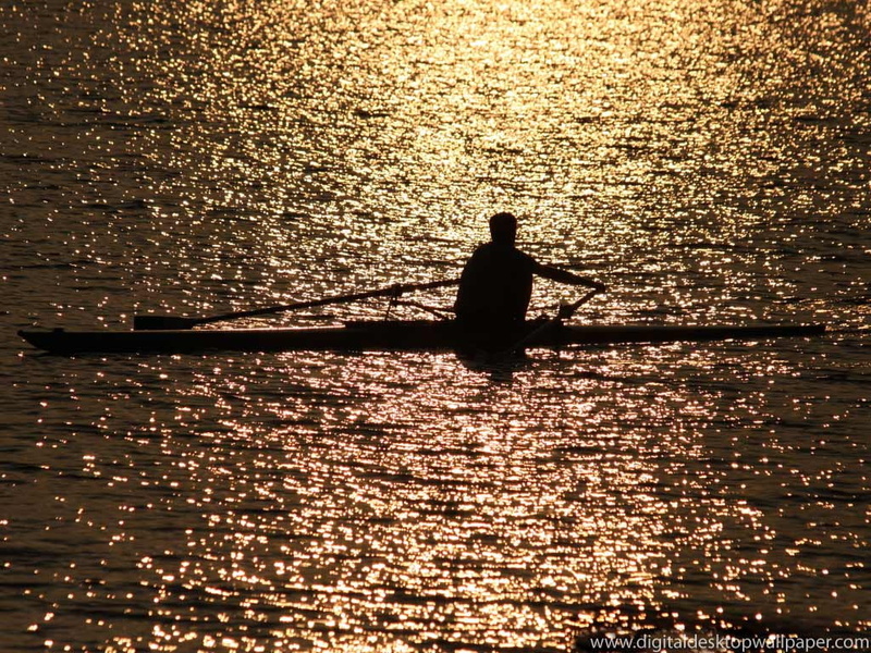 hd, sports, peaceful, SETTING, sun, rowing, art, 480P, golden, Calm, water, rower