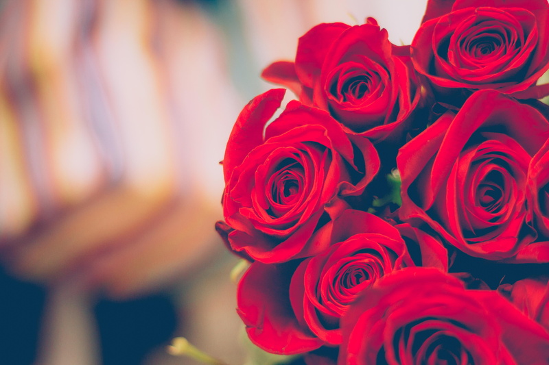 flowers, red, blur, rose, fragility, 5K, valentines day - holiday, freshness, beauty in nature, flower arrangement, blurred, petals, romance, plant, flower