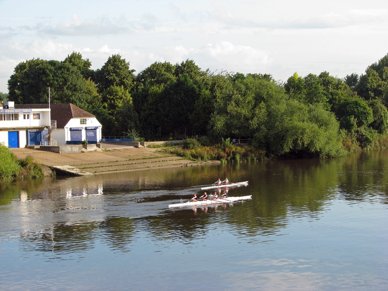Thames, Thames, outdoors, River Thames, River, water, architecture, thames, recreation, rowers, river, transportation, River, plant, sport, beauty in nature