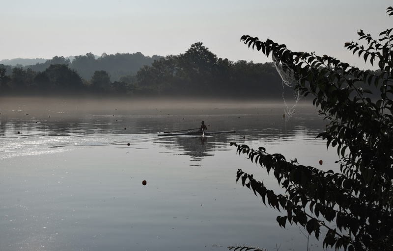 animals in the wild, animal wildlife, activity, oak ridge, united states, sport, no people, sky, water, spider web, beauty in nature, outdoors, river, scull rowing