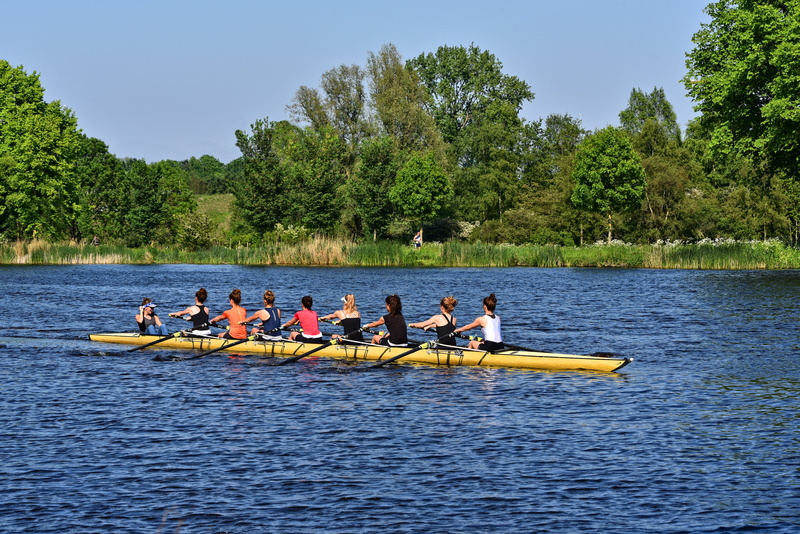 river, men, plant, day, nautical vessel, water, mode of transportation, rowboat, sunny day, shell, women, tree, outdoors, training, coxswain, 5K, boat