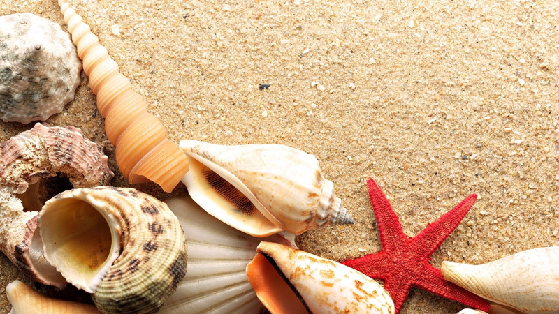 shells, x, art, beach, hd, Sand, 1080P, starfish, beaches, nature