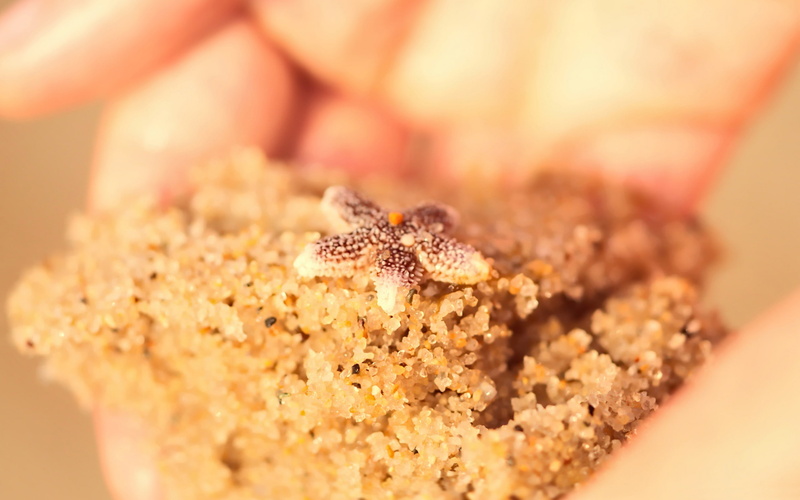 baked, brown, selective focus, sweet, 2K, beach, wallpap, studio shot, brown sugar, dessert, photography, macro, sweet food, no people, sugar, hd, food