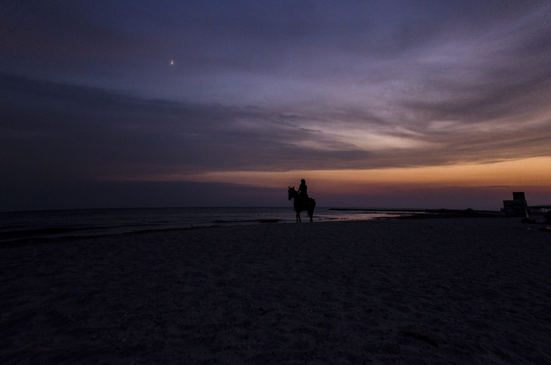 young, sunset, wild, tranquil scene, Travel, leisure activity, two people, horse, sea, water, cowboy, scenics - nature, lifestyle, outdoors, Sea, nature