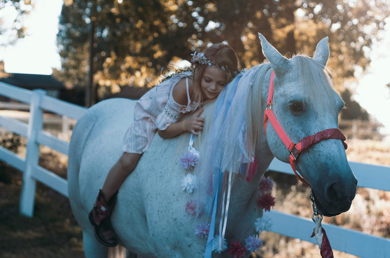 leisure activity, young adult, animal wildlife, animal, horse, focus on foreground, standing, day, fence, animal themes, riding, outdoors, girl, livestock