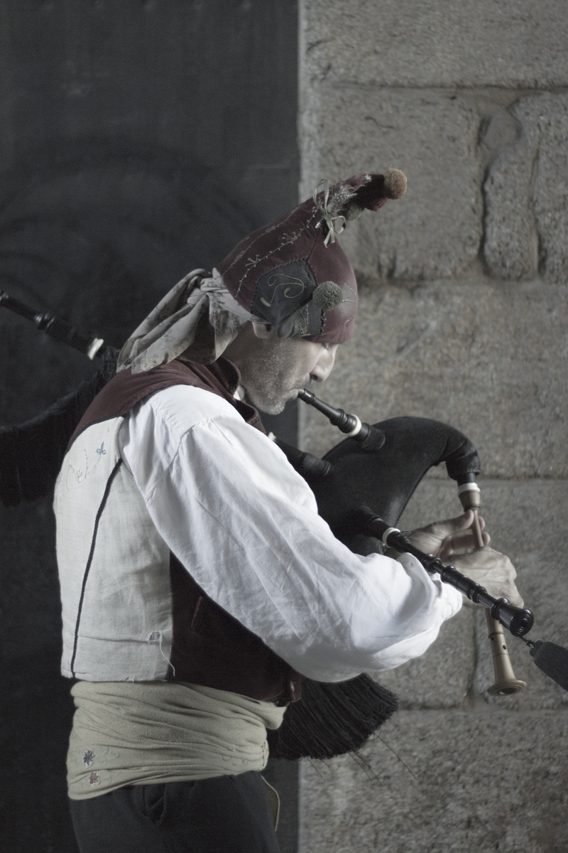 santiago of compostela, vertebrate, domestic animals, obradoiro, pets, domestic, piper, 4K, animal wildlife, clothing, horse, livestock, day, herbivorous