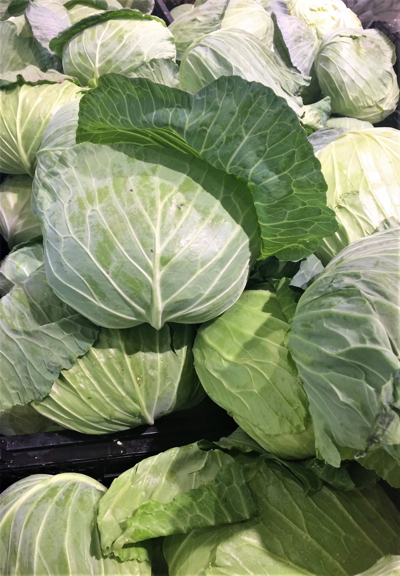 yokosuka, food and drink, heisei-cho, department, green, plant, leaf vein, healthy eating, cabbage, growth, high angle view, japan, nature, day, pile up