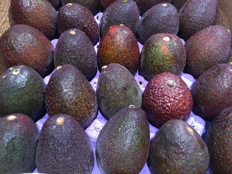 food, retail, avocado, avogado, market stall, large group of objects, close-up, food and drink, for sale, market, department, pile up, arrangement, still life