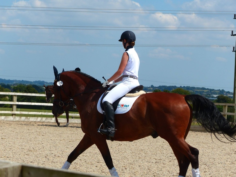 competition, mammal, domestic animals, vertebrate, horse, one animal, horseback riding, rider, pets, real people, one person, livestock, dressage, horseriding
