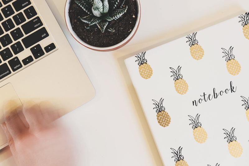 plant, decor, succulent, keyboard, technology, dirt, text, table, high angle view, desktop, workspace, computer, work table, macbook, creativity, mac, laptop