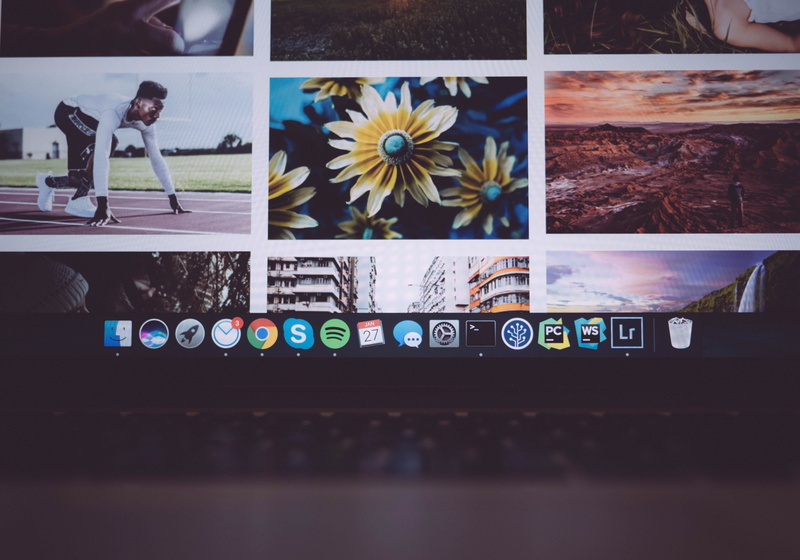 flower, technology, communication, flowering plant, macbook pro, keyboard, fragility, text, productivity, table, plant, macbook, indoors, photography, laptop