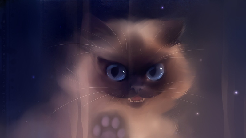 1080P, artwork, animals, cats, hd, apofiss, art, DeviantART, x