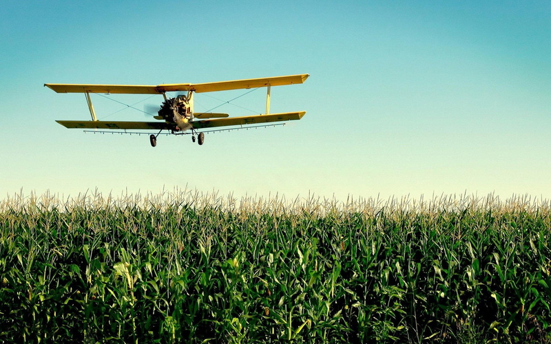 1920x1200, yellow, photography, field, corn, airplane, jet, 1080P, plane