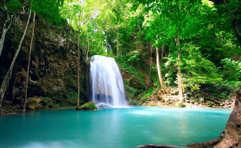 Waterfalls, Waterfall, day, water, outdoors, painting, growth, environment, scenics - nature, lush foliage, land, 2K, woodland, motion, rainforest, falling water