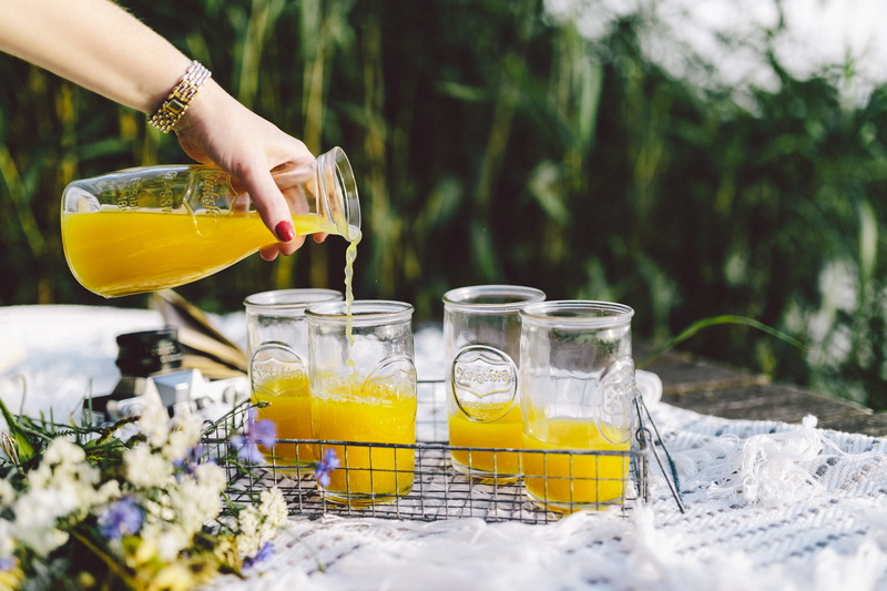 Picnic, household equipment, holidays, vacations, lake, pitcher - jug, orange juice, summer, freshness, drink, hand, only women, white cat, juice, citrus fruit