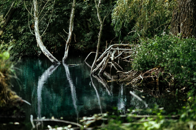 lake, forest, Poland, outdoors, reflection, flowing water, outoors, plant, woods, beauty in nature, tranquil scene, trunk, green, tree trunk, reflect, 4K