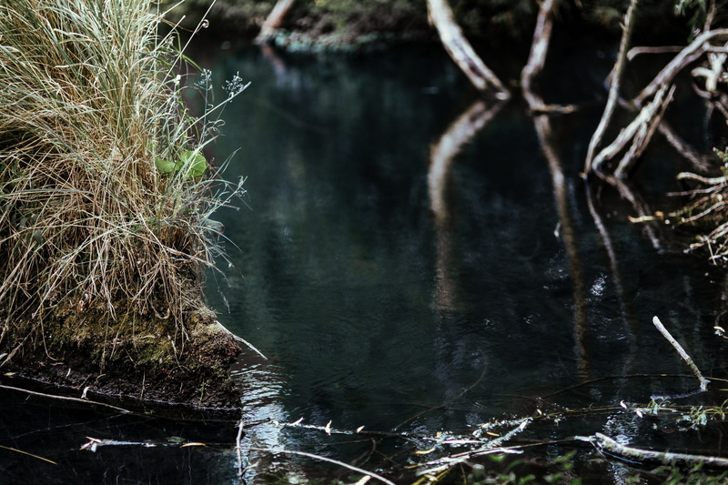 non-urban scene, no people, day, 4K, lakeshore, reflect, middle, forest, outdoors, river, tranquil scene, branch, flowing water, nature, land, water, green