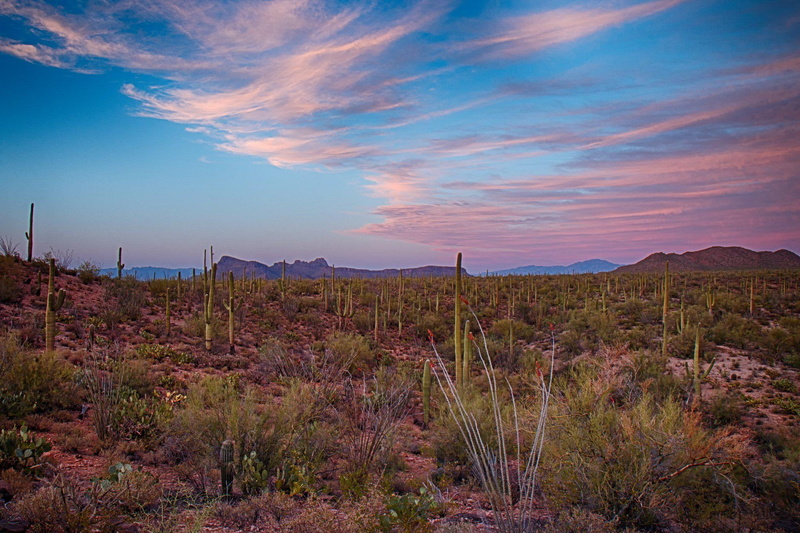 nature, deserts, desertss, landscapes, widescreen, 1080P