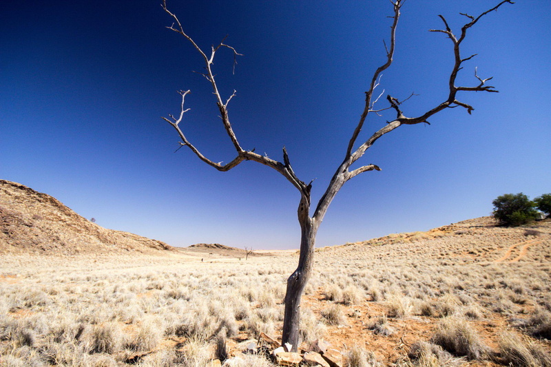 desktop, landscapes, nature, deserts, desertss, 1080P