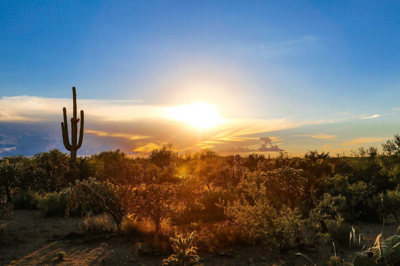 1080P, deserts, android, desertss, nature, landscapes