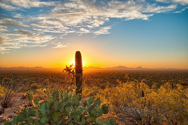 landscapes, deserts, wide, desertss, mobile, 1080P, nature