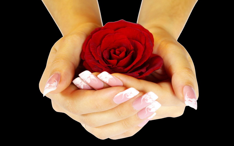 flowers, red, hands, romantic, juliannaa, rose, beautiful, pretty, beauty, 2K, nature, roses, lovely, hand, romance, with