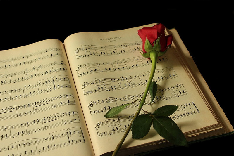elegantly, romantic, harmony, black background, 1080P, romance, still, beautiful, lovely, nice, music, life, delicate