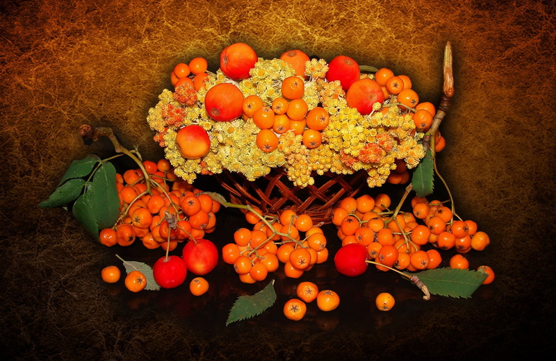 harmony, bride, wildflowers, wedding, mood, beautiful, authors photo by Elena Anikina, delicate, bouquet, 1080P, Rowan, the s, the dried flowers, apples-Chinese