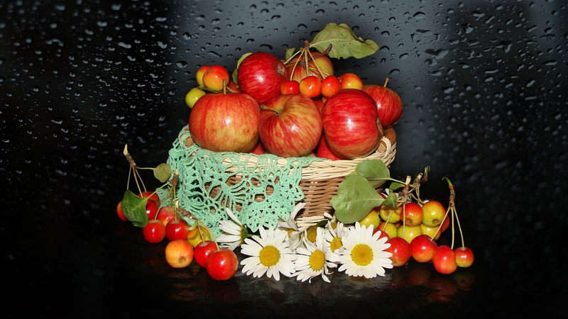 chamomile, bouquet, beautiful, wedding, nice, basket, harmony, nature, kitaika, delicate, apples, 1080P, elegantly, beauty, authors photo by Elena Anikina