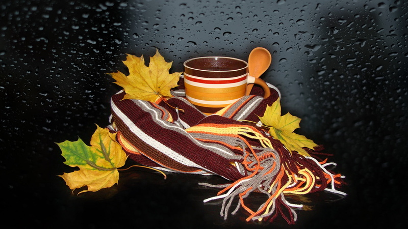 authors photo by Elena Anikina, scarf striped, elegantly, harmony, the s, bouquet, autumn still life, nice, 1080P, tea, autumn leaves, beautiful, beauty