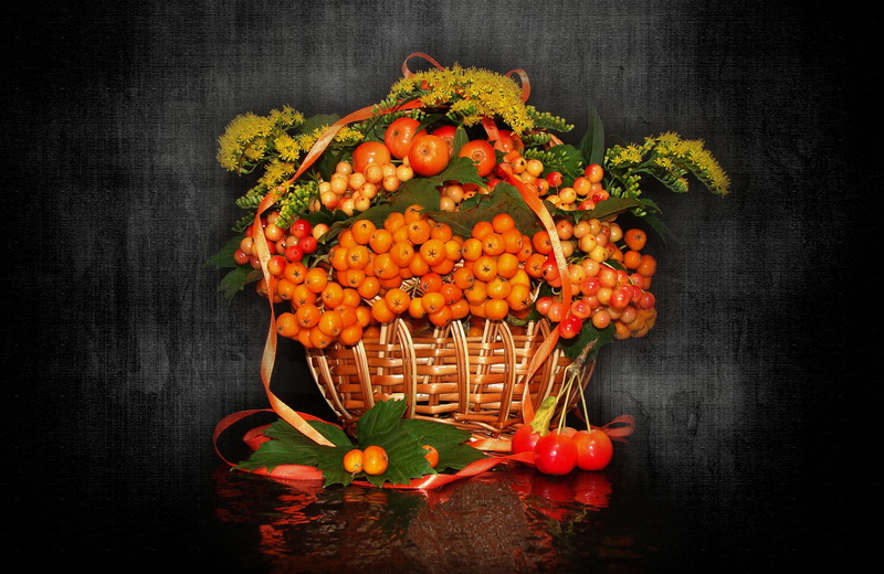 nice, authors photo by Elena Anikina, flowers, harmony, beauty, bouquet, the dried flowers, cool, the s, apples-Chinese, delicate, 1080P, beautiful, basket
