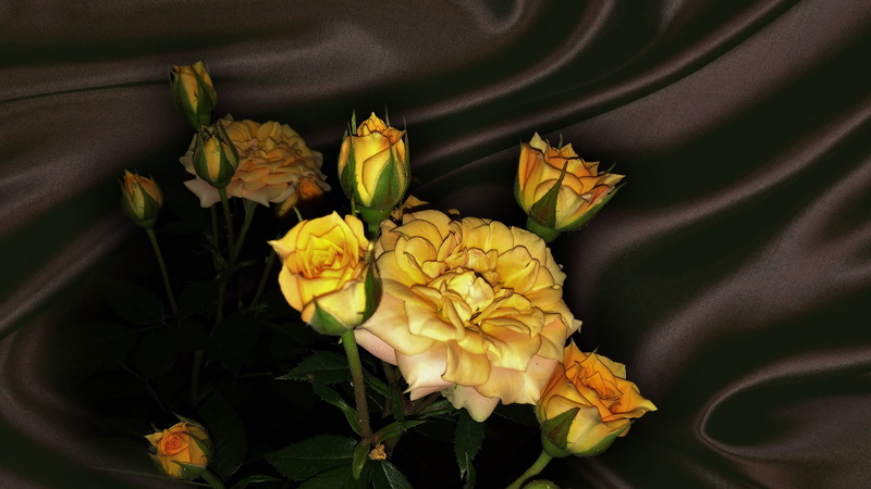 flower, beauty, mood, bouquet, summer, nice, cool, bride, roses, beautiful, elegantly, wedding, 1080P, rose, flowers, authors photo by Elena Anikina, bouquets