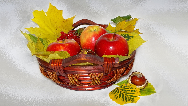 autumn still life, beauty, beautiful, mood, apples, bouquet, harmony, elegantly, delicate, autumn leaves, chestnuts, nice, the s, wedding, cool, 1080P