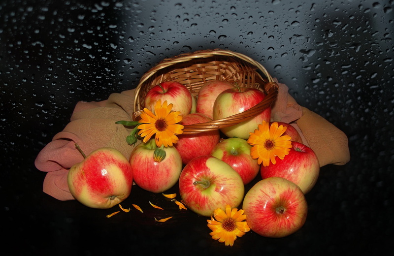 harmony, elegantly, apples, wildflowers, basket, cool, mood, beauty, authors photo by Elena Anikina, delicate, bride, 1080P, flowers, bouquet, nice, wedding