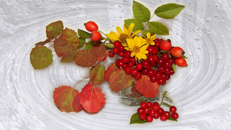 leaves, nice, elegantly, bouquets, mood, beauty, beautiful, delicate, harmony, Kalina, bride, autumn still life, briar, 1080P, chamomile, authors photo by Elena Anikina