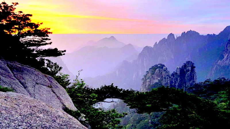 morning, 1080P, forest, mountains, pleasant, nature and landscapes, rock